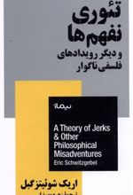 کتاب تئوری نفهم ها