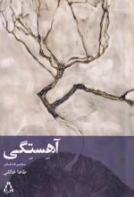 کتاب آهستگی