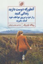 کتاب آنطور که دوست دارید زندگی کنید و از خرد و نیروی عواطف خود کمک بگیرید