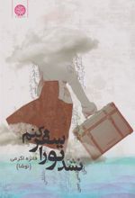 کتاب نشد تو را سفر کنم