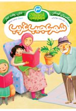 جلد کتاب شهر عجیب غریب