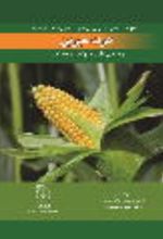 جلد کتاب ذرت شیرین