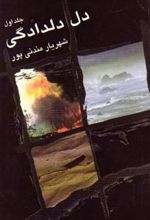 کتاب دل دلدادگی