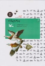 کتاب پرنده بی لانه