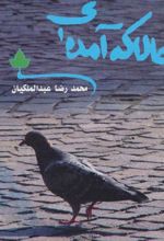 کتاب حالا که آمده ای