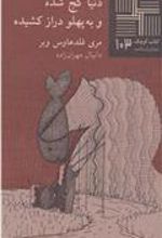 کتاب دنیاکج شده و به پهلو دراز