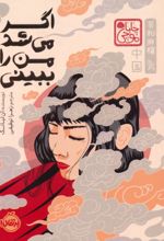 کتاب اگر می‌شد من را ببینی (شومیز)