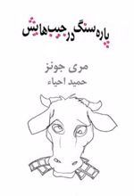 کتاب پاره سنگ در جیب هایش