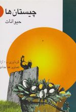 کتاب چیستان ها