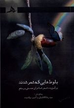کتاب بلوط هایی که شعر شدند