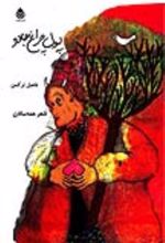 جلد کتاب پول چراغ جادو