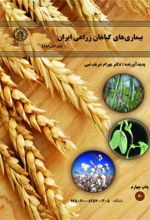 جلد کتاب بیماری‌های گیاهان زراعی ایران