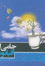 جلد کتاب جامی از اقیانوس