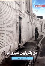 جلد کتاب من یک پایین شهری ام