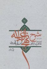 کتاب شرح نهج البلاغه 10 (زرکوب)