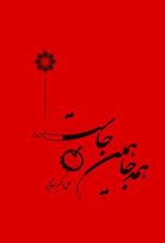 کتاب همه جا همین جاست