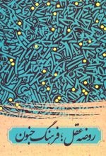 کتاب روضه عقل فرهنگ جنون