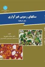 کتاب سنگهای رسوبی غیر آواری