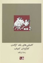 کتاب کامیابی های یک کرگدن کارگردان کمیاب