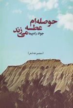 کتاب حوصله ام عطسه می زند