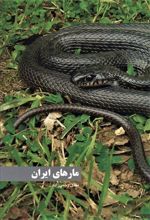 کتاب مارهای ایران