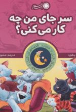 کتاب سر جای من چه کار می کنی؟