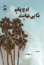 جلد کتاب تا بی‌نهایت اوج بگیر