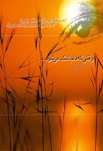 جلد کتاب وقتی که دلم تنگ می‌شود
