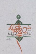 کتاب شرح نهج البلاغه 13 (زرکوب)