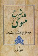 کتاب شرح مثنوی - دفتر سوم
