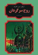 جلد کتاب روح سرگردان