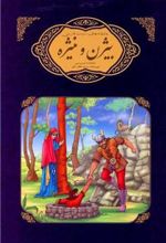 کتاب بیژن و منیژه شاهنامه فردوسی