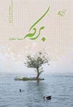 جلد کتاب برکه