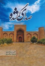 جلد کتاب صدای گمشده