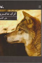 کتاب گرگ خاکستری