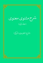 جلد کتاب شرح مثنوی معنوی (جلد اول)