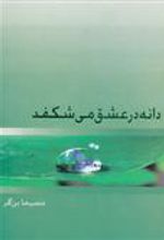 کتاب دانه در عشق می شکفد