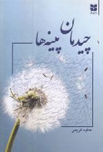 جلد کتاب چیدمان پینه ها