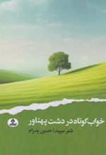کتاب خواب کوتاه در دشت پهناور