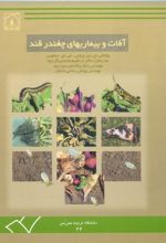جلد کتاب آفات و بیماریهای چغندرقند