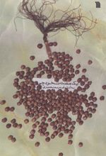 کتاب یک مشت نخودچی