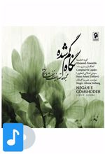 آلبوم موسیقی نگاه گم شده