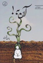 جلد کتاب آن به!