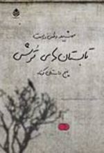 جلد کتاب تابستان‌ های ترش
