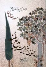 کتاب چندین هزار بیت بدیع بلند