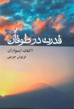 کتاب قدرت در طوفان