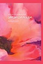 جلد کتاب هزار و یک غزل شورانگیز