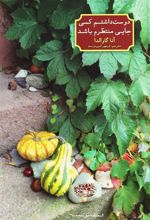 کتاب دوست داشتم کسی جایی منتظرم باشد