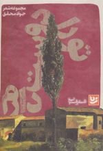 کتاب تو را دوست دارم