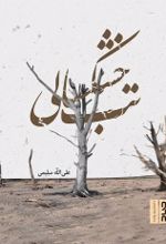 جلد کتاب تب خشکسالی